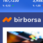 WordPress Borsa Teması - BirBorsa